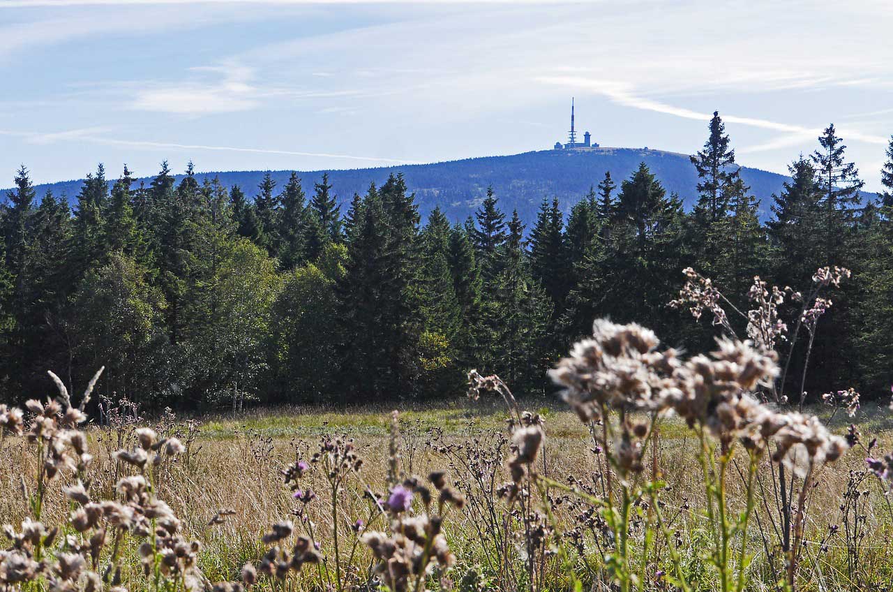 Wanderwege im Harz - Der Goetheweg zum Brocken