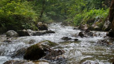 Am Fuß der Reiteralm bei Schneitzlreuth in Bayern findet sich die Aschauer Klamm.