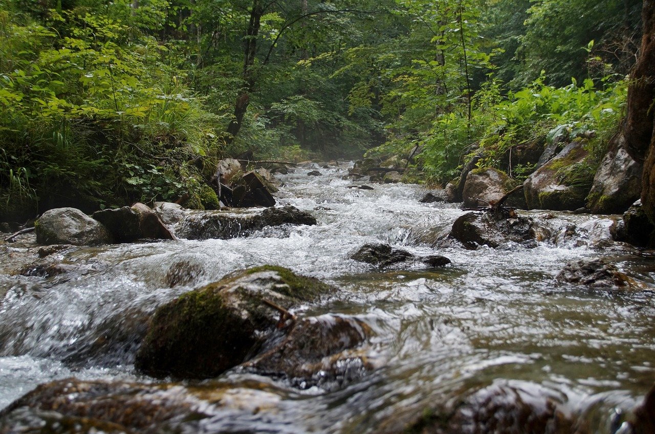 Am Fuß der Reiteralm bei Schneitzlreuth in Bayern findet sich die Aschauer Klamm.