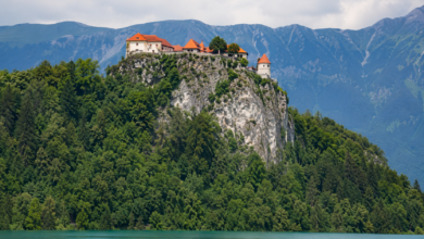 Burg Bled 2026: Eintritt, Öffnungszeiten, Parken & Tipps [Bildinhalt mit KI erstellt]