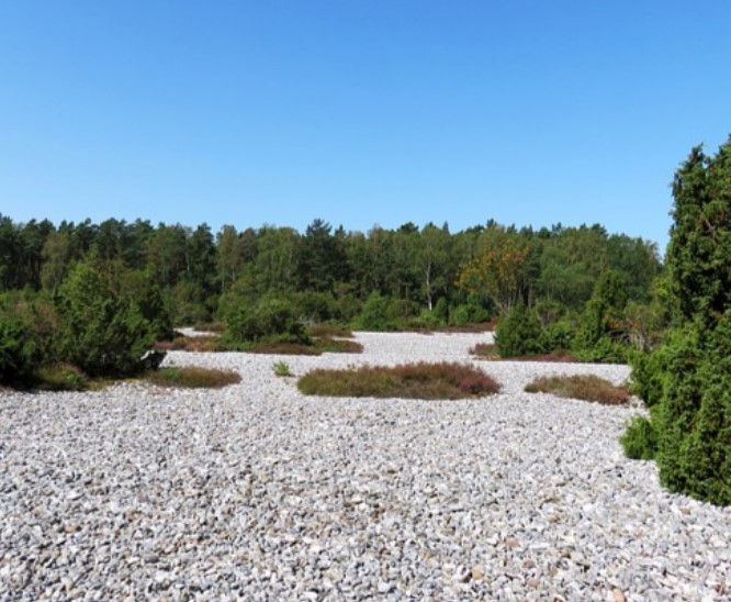 Die Feuersteinfelder der Insel Rügen