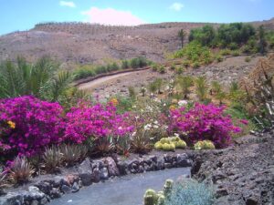 Die 7 besten Wanderrouten auf Fuerteventura