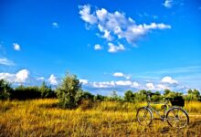 Die schönsten Radtouren in Rheinland-Pfalz