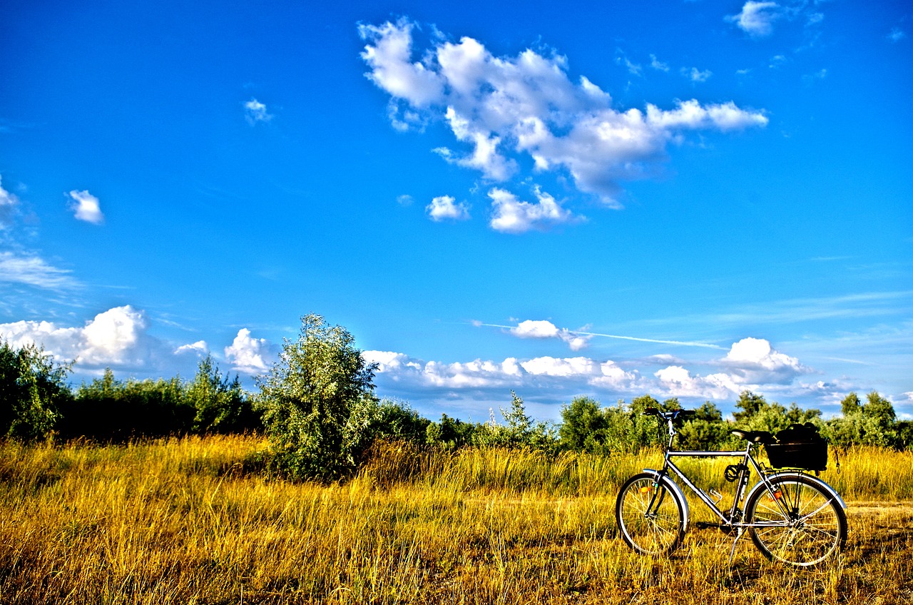 Die schönsten Radtouren in Rheinland-Pfalz