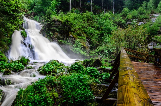Die Triberger Wasserfälle sind die höchsten in Deutschland