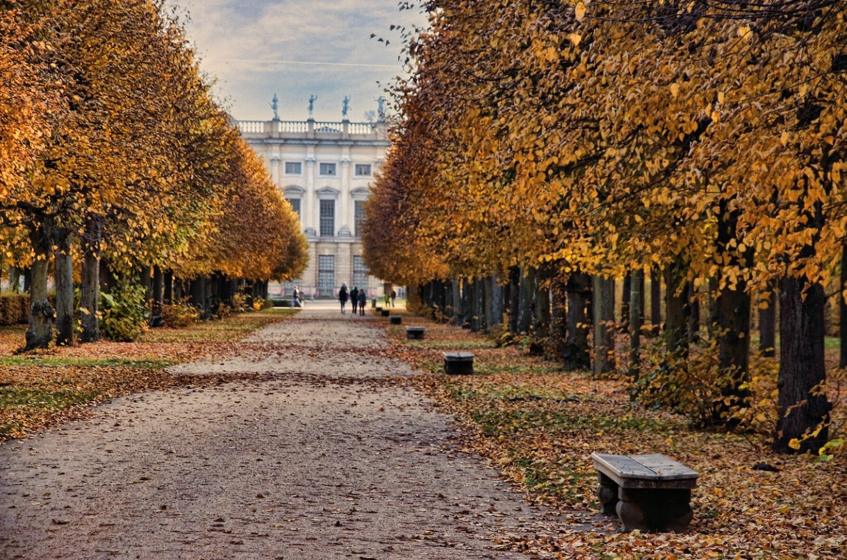 Wandern in Berlin: 7 schöne Wandertouren in der Hauptstadt