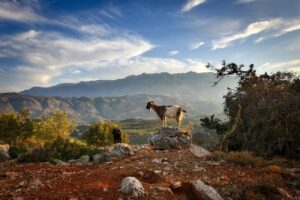 Die 7 besten Wanderrouten auf Kreta