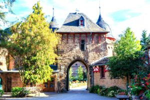 Top-Traumpfade der Eifel: Dein ultimativer Wanderführer!