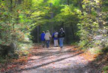 Wie finde ich Wanderwege in der Nähe?