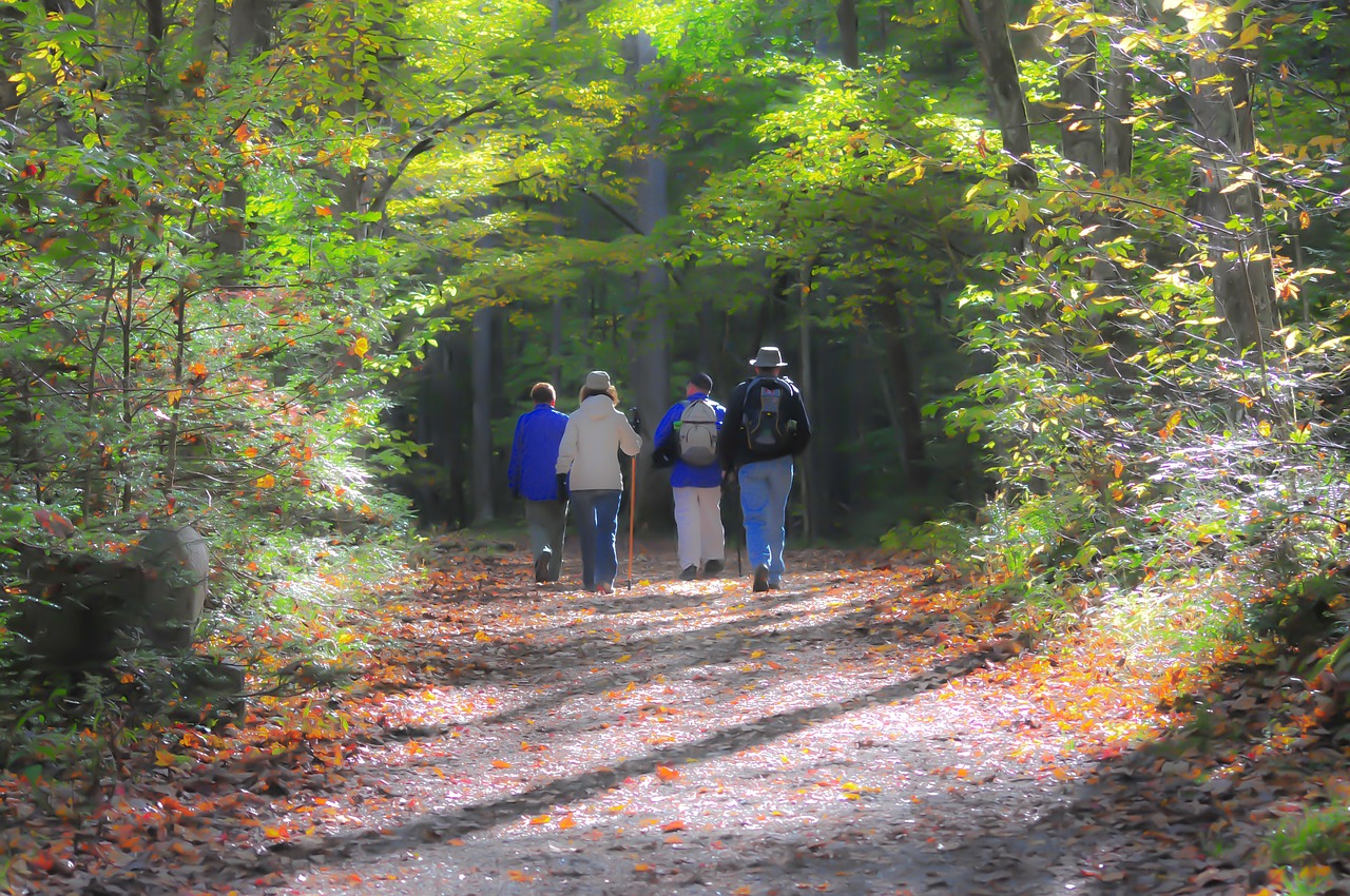 Wie finde ich Wanderwege in der Nähe?