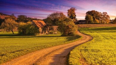 Die 12 beliebtesten Wanderwege in Deutschland