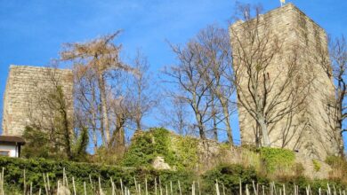 Windecker Ländchen: 5 schöne Rundwanderungen