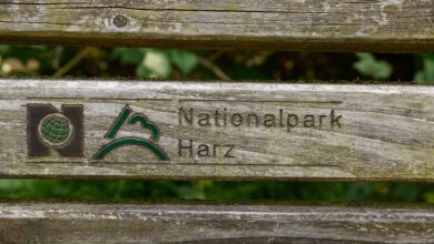 Nationalpark Harz