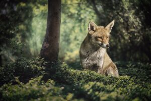 Nationalpark Berchtesgaden – 10 Top Sehenswürdigkeiten in der Nähe