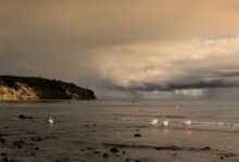 Was macht man bei schlechten Wetter auf der Insel Rügen?