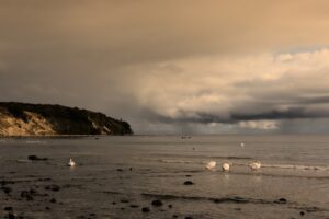 Was macht man bei schlechten Wetter auf der Insel Rügen?
