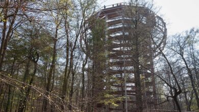 Das Naturerbezentrum auf der Insel Rügen