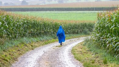 Wandern bei Regen - Tipps für Wanderungen bei nassen Wetter