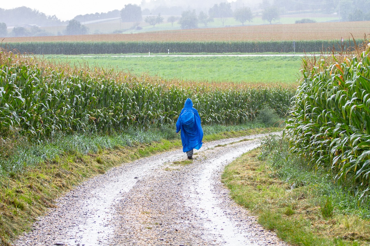 Wandern bei Regen - Tipps für Wanderungen bei nassen Wetter