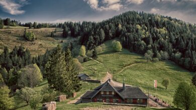 Wandern im Schwarzwald: 10 schöne Wandertouren
