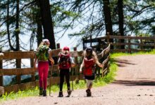 7 Tipps für Wandern mit Kindern