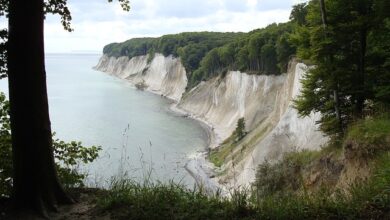 Der Nationalpark Jasmund - Eine Naturschönheit auf der Insel Rügen